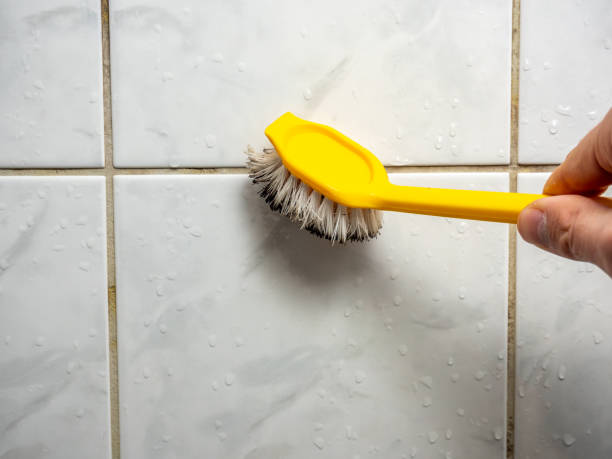 Best Fast Mold Removal  in Baxter, MN