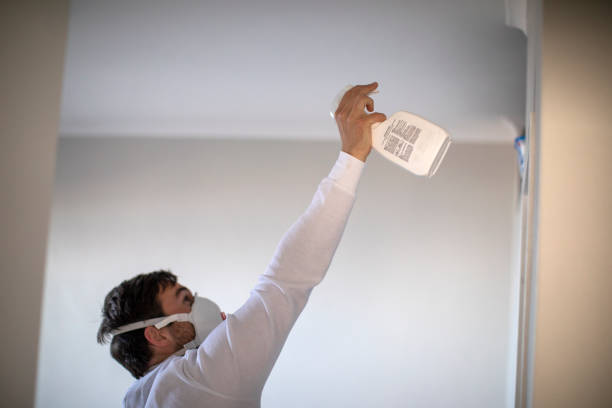 Mold Removal Process in Baxter, MN