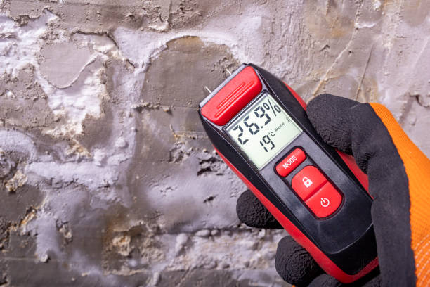 Best Home Mold Removal  in Baxter, MN