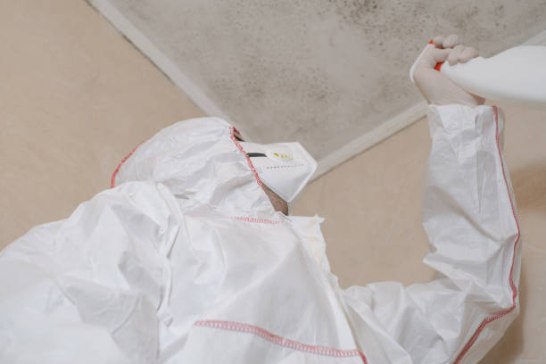 Best Mold Testing  in Baxter, MN