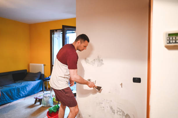 Best Professional Mold Removal  in Baxter, MN